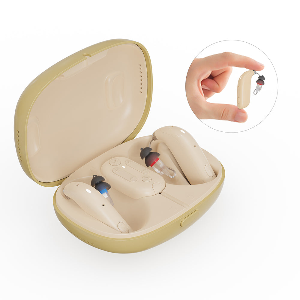 H8 Hearing Aids