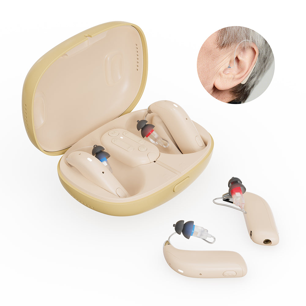 H8 Hearing Aids