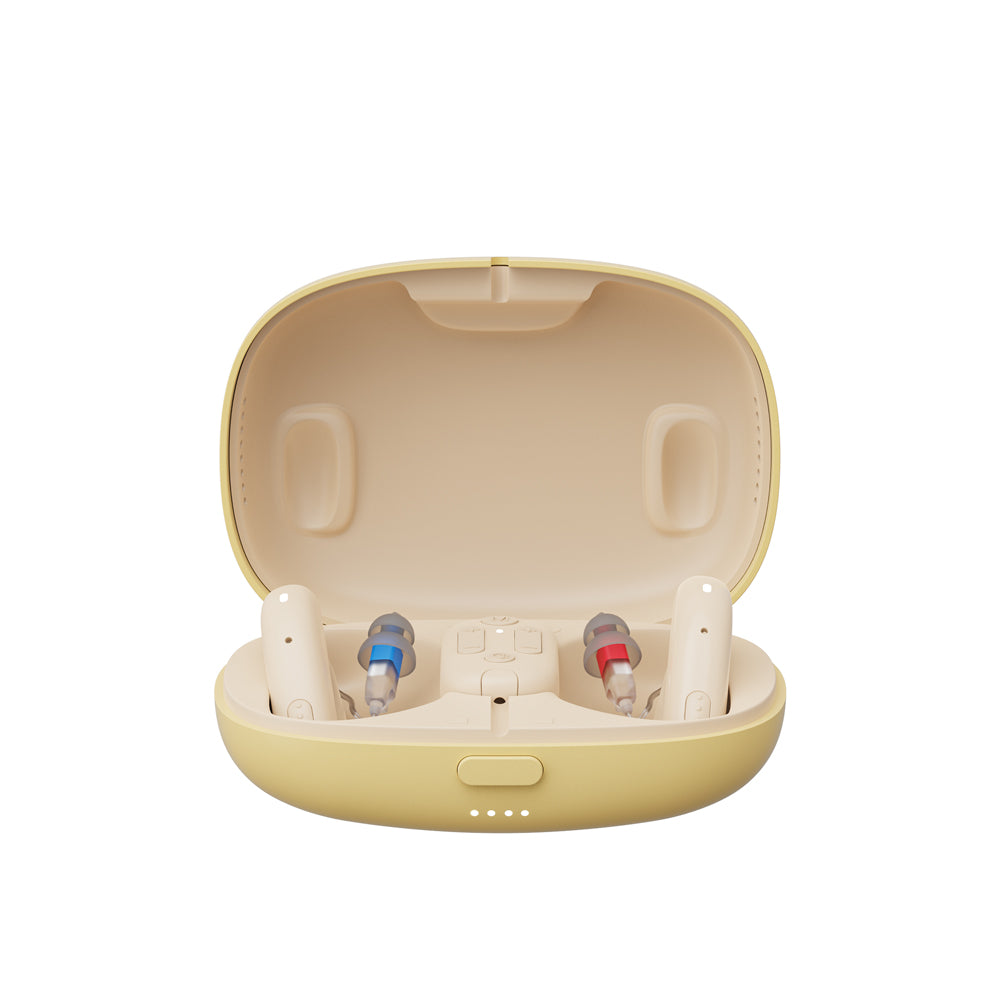 H8 Hearing Aids